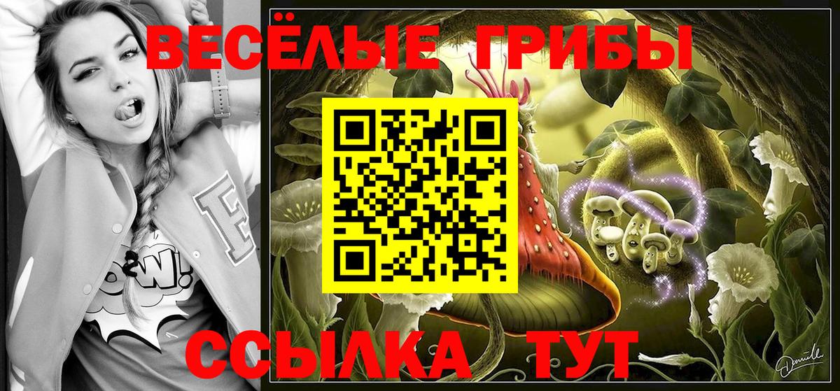 Тамбов  Псилоцибиновые грибы Psilocybe  Галлюциногенные грибы MAGIC MUSHROOMS  Вход с VPN 