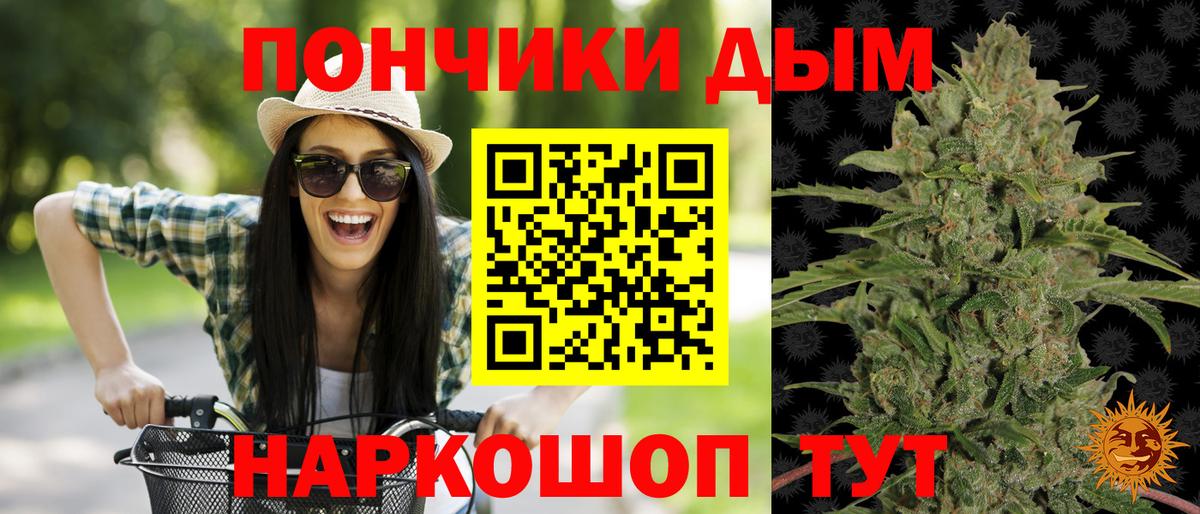 Канабис ГИДРОПОН Тамбов